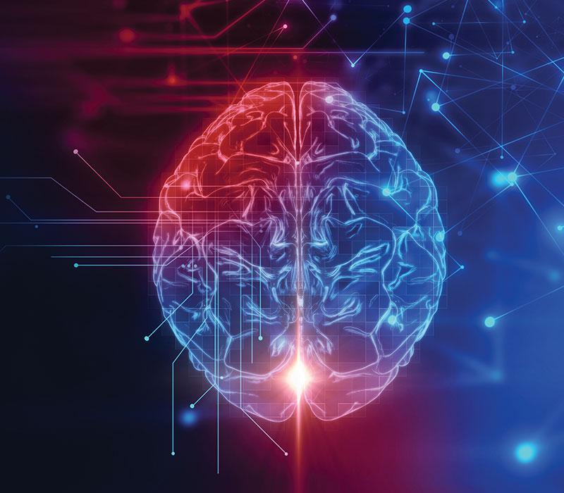 CognatiQ® was shown to increase functional connectivity in the brain